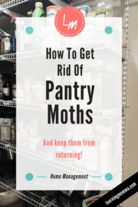 How to Get Rid of Pantry Moths - 5 Steps To A Moth-Free Kitchen ...