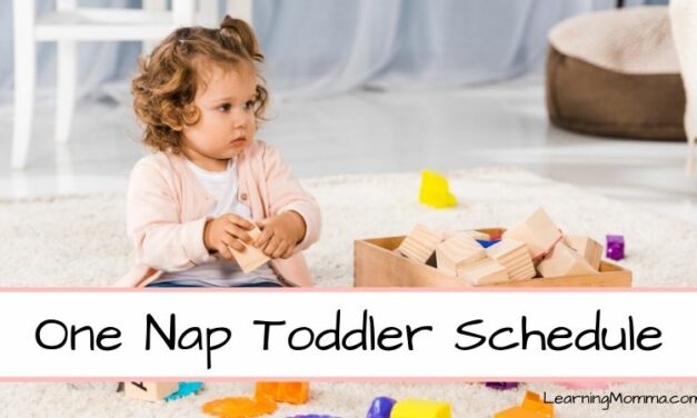 1 Year Old Schedule Sample – Through 2 Years Old