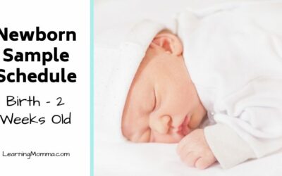 Babywise Schedule Sample For A Newborn – When Should They Sleep?