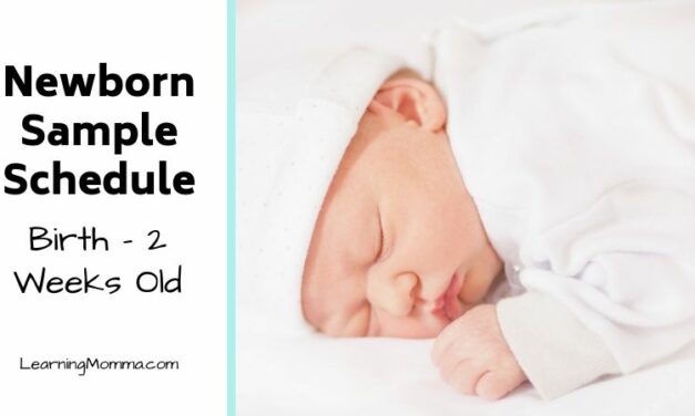 Babywise Schedule Sample For A Newborn – When Should They Sleep?
