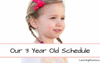Our 3 Year Old Schedule – Daily Sleep, Activity, Meals & More!
